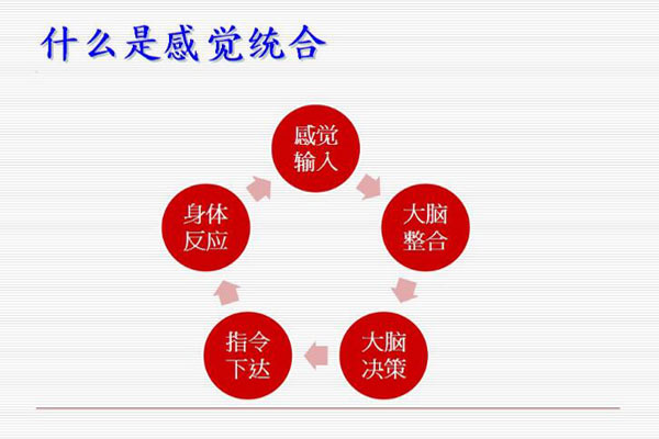 什么是感觉统合，感觉统合是什么意思？