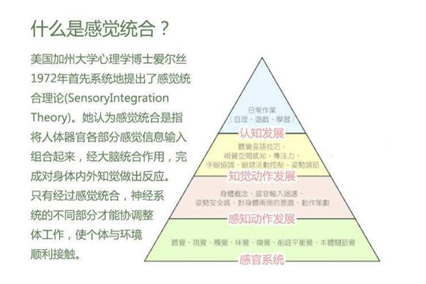 什么是感觉统合，感觉统合是什么意思？