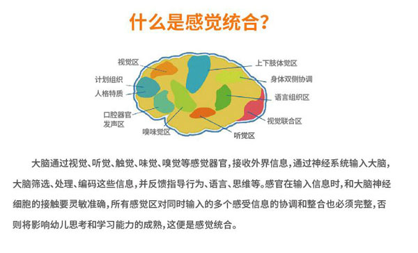 什么是感觉统合，感觉统合是什么意思？