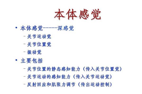 本体感觉